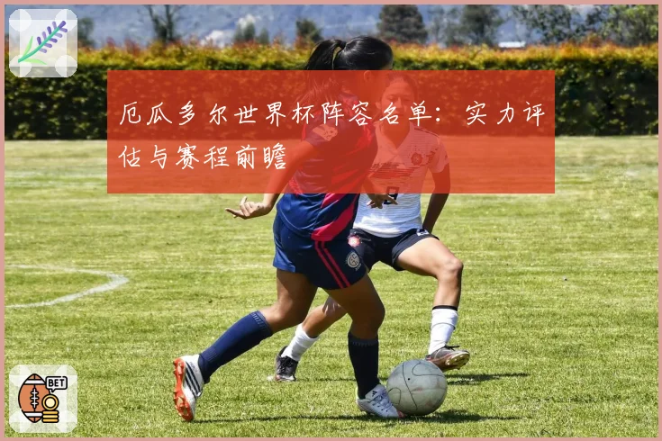 厄瓜多尔世界杯阵容名单：实力评估与赛程前瞻
