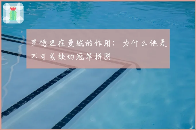 罗德里在曼城的作用：为什么他是不可或缺的冠军拼图